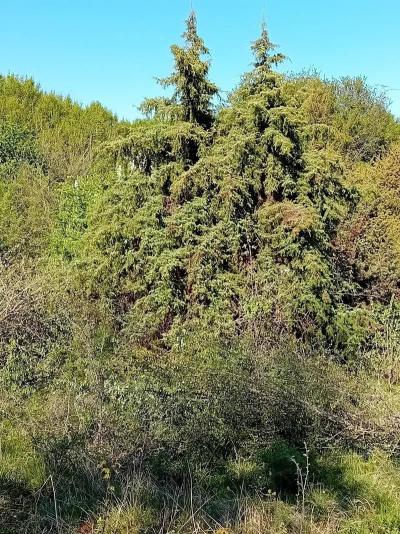 Η Λέσχη Ανάγνωσης &#039;&#039;Ακυβέρνητος Βιβλιόπλους&#039;&#039; Βέροιας στο Γιαννακοχώρι!