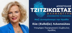 Δήλωση υποψηφιότητας και βιογραφικό της Εύας Λιλιοπούλου, υποψήφιας Περιφερειακής Συμβούλου