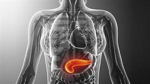 Πρωτοπορία επί ελληνικού εδάφους στις επεμβάσεις του καρκίνου του παγκρέατος