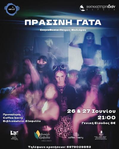 H «ΠΡΑΣΙΝΗ ΓΑΤΑ» για δύο μέρες στο Εκκοκκιστήριο Ιδεών Βέροιας