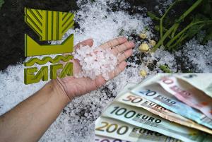 Tα πορίσματα του ΕΛΓΑ για ζημιές από χαλάζι σε Κοπανό και Λευκάδια