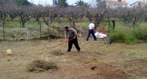 Υποχρεωτικός Καθαρισμός Οικοπέδων και Δήλωση στο Εθνικό Μητρώο Τήρησης Μέτρων Προληπτικής Πυροπροστασίας