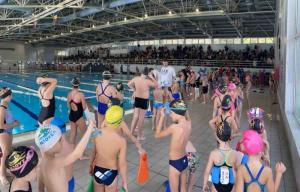 Επιτυχημένη η φιλική ημερίδα κολύμβησης των Ακαδημιών στο Δημοτικό Κολυμβητήριο Νάουσας