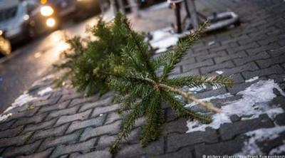 Δήμος Βέροιας: Μην πετάτε τα χριστουγεννιάτικα δένδρα στους κάδους