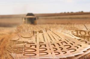 Σε οριακό σημείο ο κάμπος της Ημαθίας