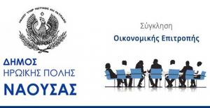 Συνεδρίαση της Οικονομικής Επιτροπής Δήμου Νάουσας