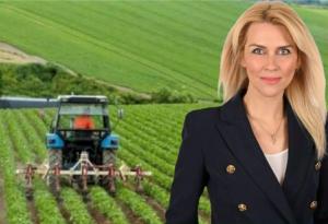 «Πρωτογενής Τομέας σε Υποχώρηση!»