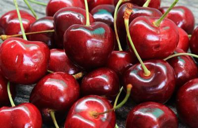 Δηλώσεις ζημιών για τα κεράσια από τις βροχοπτώσεις σε Μαρίνα, Πολλά Νερά Λευκάδια και Κοπανο