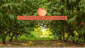 Την Τετάρτη Γενική Συνέλευση του Αγροτικού Συλλόγου Ημαθίας