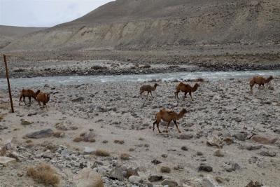 Θεματικές ξεναγήσεις στη φωτογραφική έκθεση «Ζει ο βασιλιάς Αλέξανδρος;»
