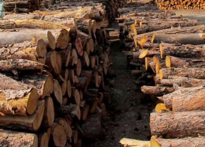 Ολοκληρώθηκε η διανομή καυσόξυλων στους απολυμένους του Βαρβαρέσου