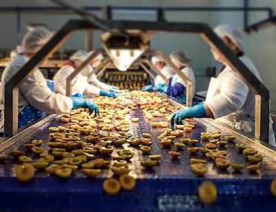 Ένωση Κονσερβοποιών: Ισχυρό πλήγμα στις εξαγωγές ελληνικής κομπόστας από τον Τραμπ