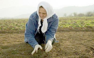 Παράταση 90 ημερών για τους μετακλητούς εργάτες γης