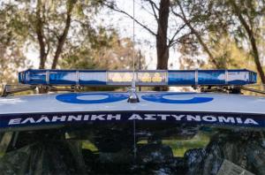 Ημαθία: Συλλήψεις για κλοπή και παραμέληση ανηλίκου