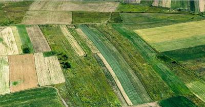 Εκμίσθωση αγροτεμαχίων του Δήμου Αλεξάνδρειας ανακοινώθηκαν για την περίοδο 5 έως και 23 Δεκεμβρίου