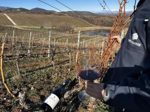 Τιμώντας την Νάουσα, την Πόλη του Οίνου στο Κτήμα Κυρ-Γιάννη