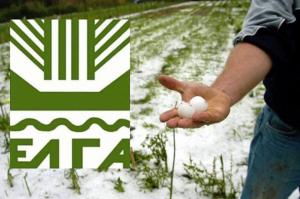 Αναγγελία για ζημιές από το χαλάζι της 21ης Αυγούστου, στους παραγωγούς της Επισκοπής