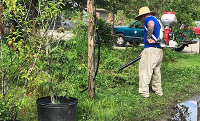 Το πρόγραμμα ψεκασμών για τα κουνούπια στον Δήμο Αλεξάνρειας