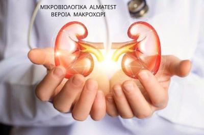 Νεφρική λειτουργία: Από την κρεατινίνη στην Κυστατίνη C – Ένα νέο, πιο αξιόπιστο «εργαλείο»