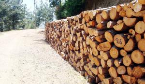 Διάθεση καυσόξυλων σε ευπαθείς κοινωνικές ομάδες του Δήμου Νάουσας