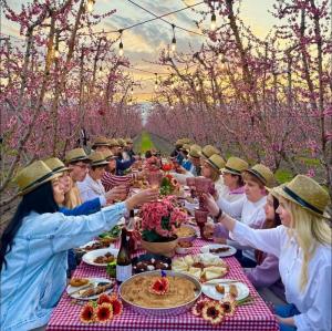 Ο Δήμος Νάουσας στη δράση για τις ανθισμένες ροδακινιές