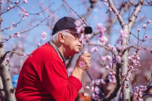 Τα ροζ άνθη γίνονται λέξεις / Προκήρυξη διαγωνισμού ποιήματος Χαϊκού