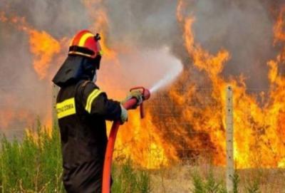 Οδηγίες της Πυθροσβεστικής Υπηρεσίας Ημαθίας για την αντιπυρική περίοδο