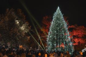 Την 1η Δεκεμβρίου το άναμμα του Δέντρου στην πλατεία Εληάς