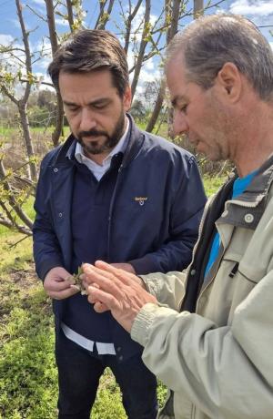 Τάσος Μπαρτζώκας: Ανοίγουν οι αναγγελίες για ΟΛΕΣ τις ποικιλίες των Κερασιών!