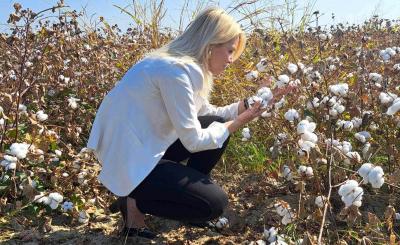 Το χρυσορυχείο της Ημαθίας παράγει βαμβάκι