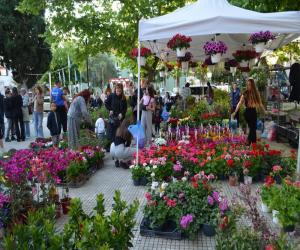 H 9η Ανθοέκθεση Σκύδρας ολοκλήρωσε το μαγευτικό της ταξίδι