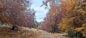 Στο Ξηροβούνι του Ξηρολιβάδου με τους Ορειβάτες Βέροιας