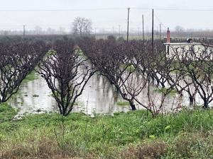 Η φωτογραφία μας είναι σημερινή από το αγρόκτημα του Μετοχίου