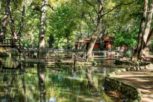 Απαγορεύεται η στάθμευση αυτοκινήτων εντός του Άλσους του Αγίου Νικολάου Νάουσας