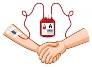 Εθελοντική Αιμοδοσία την Τετάρτη στο ΚΑΠΗ του Δήμου Αλεξάνδρειας