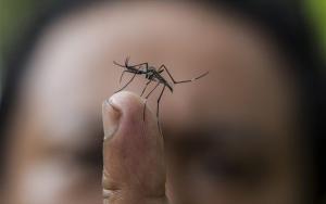 Επαναληπτικός ψεκασμός για τα κουνούπια το βράδυ της Δευτέρας στον οικισμό Αγίου Γεωργίου