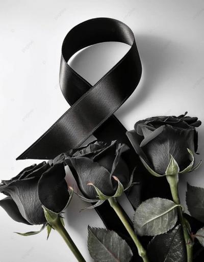 Συλλυπητήριο μήνυμα του Δημάρχου Βέροιας για το πολύνεκρο δυστύχημα με οπαδούς του ΠΑΟΚ