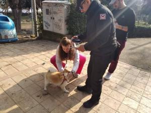 Έλεγχοι για την τήρηση των υποχρεώσεων των ιδιοκτητών ζώων συντροφιάς στη Νάουσα