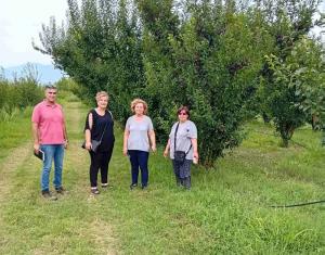 Επίσκεψη της Αντιδημάρχου Νάουσας σε κτήματα της Ειρηνούπολης για ζημιές από ανεμοθύελλα