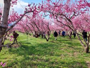 Γενική συνέλευση του Τουριστικού Ομίλου Βέροιας