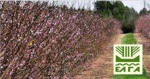 Ανακοινώθηκαν τα πορίσματα για εκτιμήσεις ζημιών από Παγετό για τις καλλιέργειες της Δ/Κ Αλεξάνδρειας Προς: