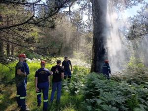 Φωτιά στο δάσος του Σελίου / Αποφεύχθηκαν τα χειρότερα