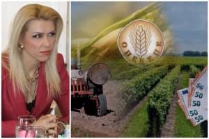 Λίνα Τουπεκτσή: Ο ΟΠΕΚΕΠΕ από δεκαετίες είχε εργαλειοποιηθεί για κομματικά ή εκλογικά οφέλη