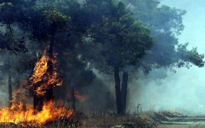 Αύριο Τρίτη απαγορεύεται η κυκλοφορία στα δάση και άλση της Ημαθίας