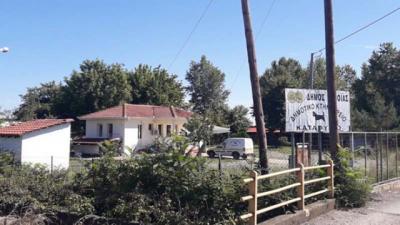 Δήμος Βέροιας: Ολοκληρώθηκε το δεύτερο πρόγραμμα στειρώσεων αδέσποτων ζώων συντροφιάς